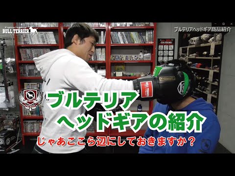 ブルテリアヘッドギアの紹介キックボクシングスパーリングで頭を守る
