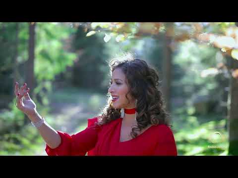 Mahan Moin - "Madar"