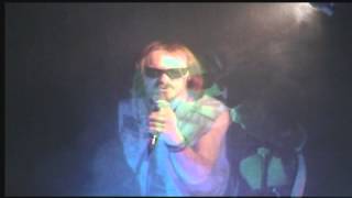 The Agaric Fly - She Sells Sanctuary