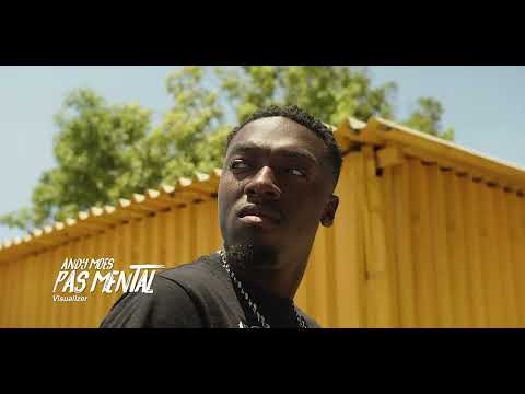 Andy Moes - PAS MENTAL (Visualizer)