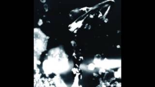 Polanski - Wasted Mind