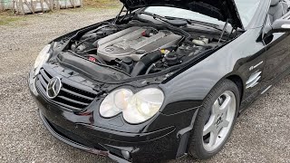 Mercedes-Benz SL55 AMG grada de discos | Imagen 4 - Agroline