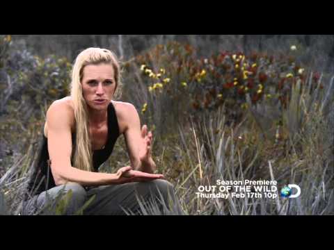 Out of The Wild: Venezuela - February 17, 2011*