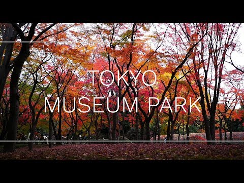 A visit to "Kitanomaru Garden" - This is where you'll find your new favorite museum!