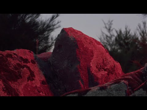 Panama & Vandelux - Heartburn [Official Visualiser]