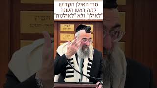 ט"ו בשבט בתורת הסוד (הרב יצחק ישראלי) - התמונה מוצגת ישירות מתוך אתר האינטרנט יוטיוב. זכויות היוצרים בתמונה שייכות ליוצרה. קישור קרדיט למקור התוכן נמצא בתוך דף הסרטון