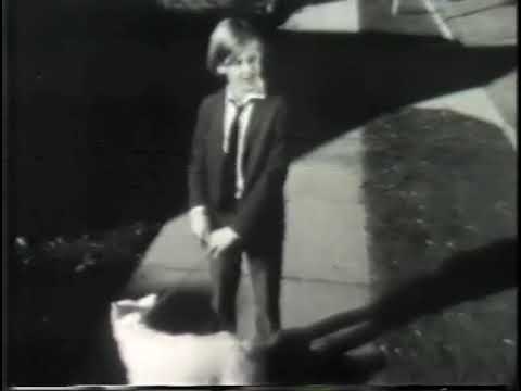 Little Johnny (1972) | Gus Van Sant