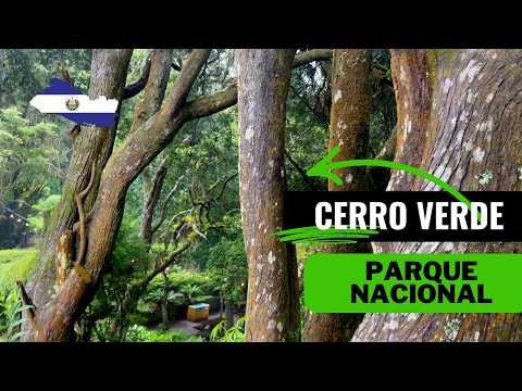 Cerro Verde: A PARADISE in the Heights | El Salvador Tourism