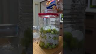 making japanese plum wine! #japan #food #wine #ume #sake #travel #international #farm