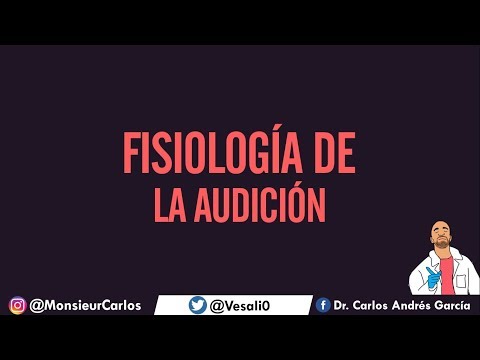Physiology of Hearing - How do we hear and differentiate one sound from another?