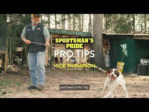 Pro Tips: Teaching New Dogs Whoa | Nick Thompson