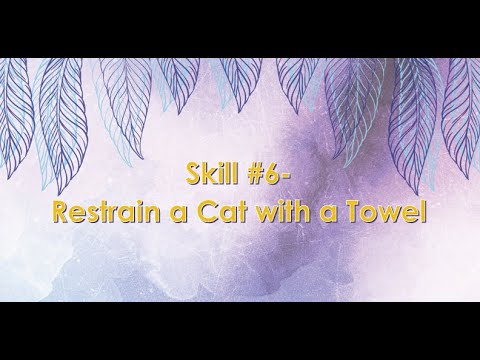 Skill #6- Restrain a Cat with a Towel