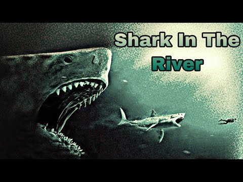 The Meg Tribute ~Shark In The River~