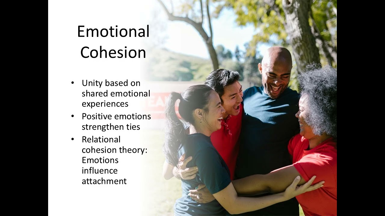 Group Dynamics - Lecture 5 - Part 9 - Group Cohesion