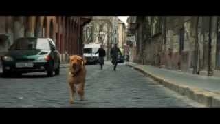 『ホワイト・ゴッド 少女と犬の狂詩曲』公開記念トークイベント第2弾開催決定！