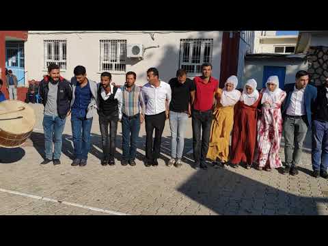 Kemançe halay düğün  govend