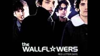 The Wallflowers - If You Never Got Sick