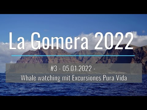 La Gomera 2022 - 05.01.2022 - Whale watching mit Excursiones Pura Vida - EinfachNurReisen.de