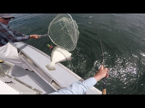 Need a Bigger Net! Large Ocean Fluke (Flounder) Slam!