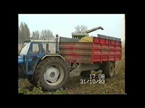 Loonw. Maesen - Beselare