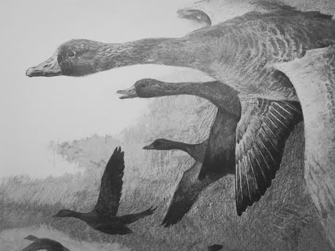 Hunting - Water Cold!