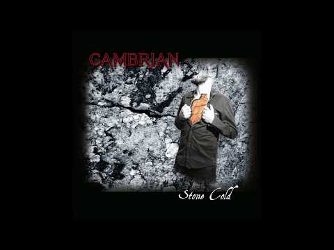 Stone Cold by Cambrian