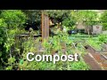 Jimmy Williams Nursery (HD)