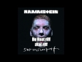 Rammstein - Du hast - intro + riff loop 