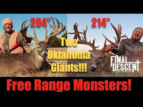 Two 200" Oklahoma Free Range Giants!!!