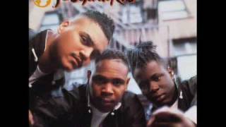 Fu-Schnickens - True Fu-Schnick (Remix)