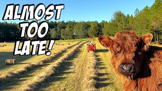 Compact Tractor Hay Baling: A MUST-WATCH Before You Buy!