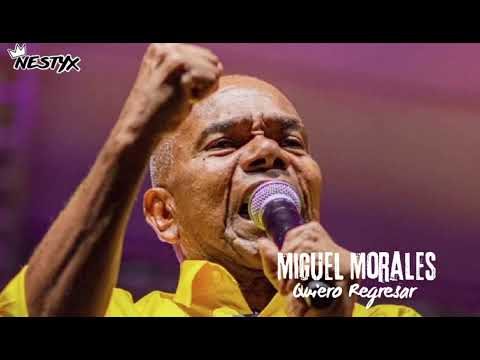 Miguel Morales - Quiero regresar