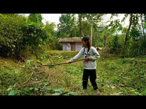 Harvesting ginger to sell at the market, gardening, building a farm.