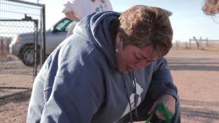 Abused Puppy Mill Dog rescued and given new life by caring prisoner