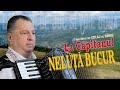 NELUTA BUCUR La Capitanu I COLAJ SARBE I Oficial Video