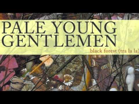 Pale Young Gentlemen - We Will Meet