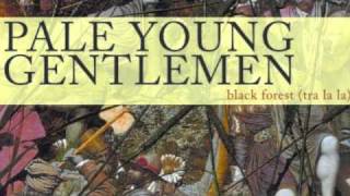 Pale Young Gentlemen - We Will Meet