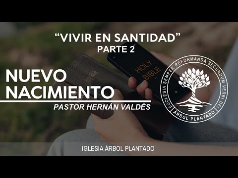 368 - Vivir en santidad - Nuevo nacimiento - Parte 2