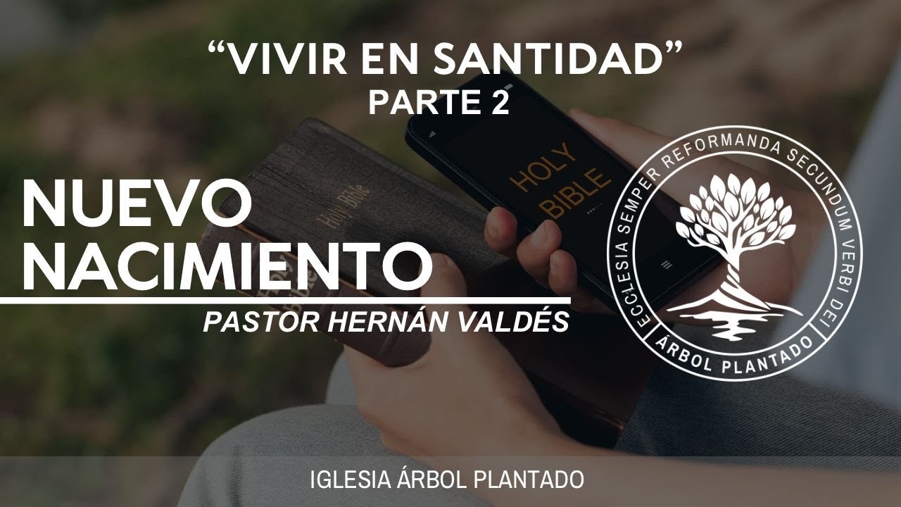 368 - Vivir en santidad - Nuevo nacimiento - Parte 2