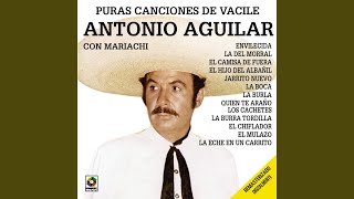 El Hijo del Albañil - La Fuente del Vacilon