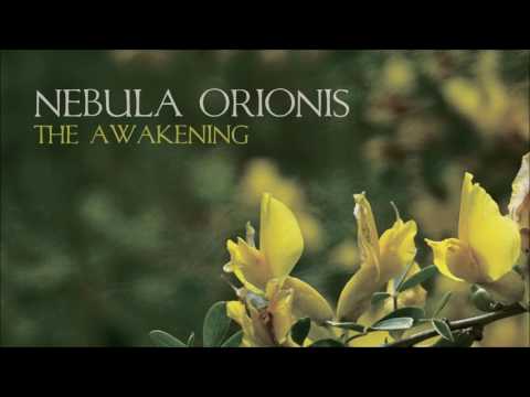 Nebula Orionis - Uncovering The Veil