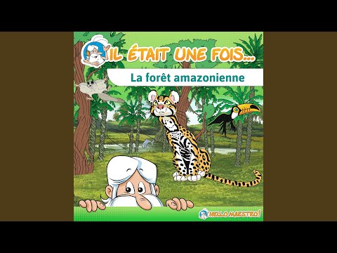 La forêt amazonienne : En route pour l'Amazonie !