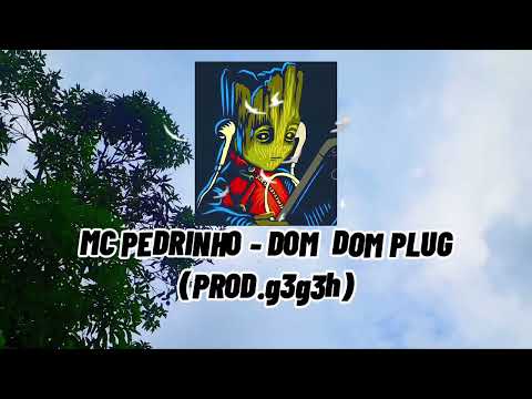 MC PEDRINHO - DOM  DOM PLUG(PROD.g3g3h)