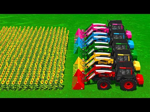 CUT SUNFLOWERS AND MAKE CHAFF WITH KRONE FORAGE HARVESTER - Farming Simulator 25
