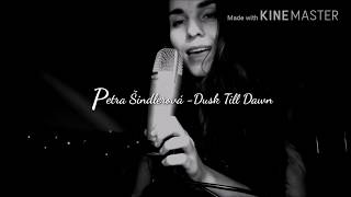 Dusk Till Dawn -  ZAYN ft. Sia - Petra Šindlerová - cover