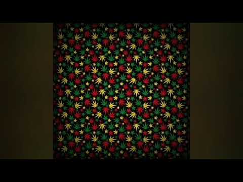 Digital Kingston Session - Manudigital ft General Degree #reggae