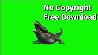 Download lagu Green screen animasi Buaya nocopyright mp3 Download lagu Green screen animasi Buaya nocopyright mp3