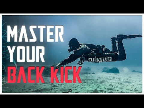 How To Back Kick | Master Series