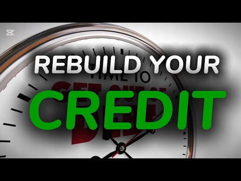 3 powerful platforms to help you rebuild your credit in 2025