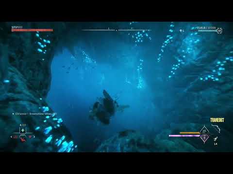 Horizon Forbidden West: The Raintrace Sunken Cavern